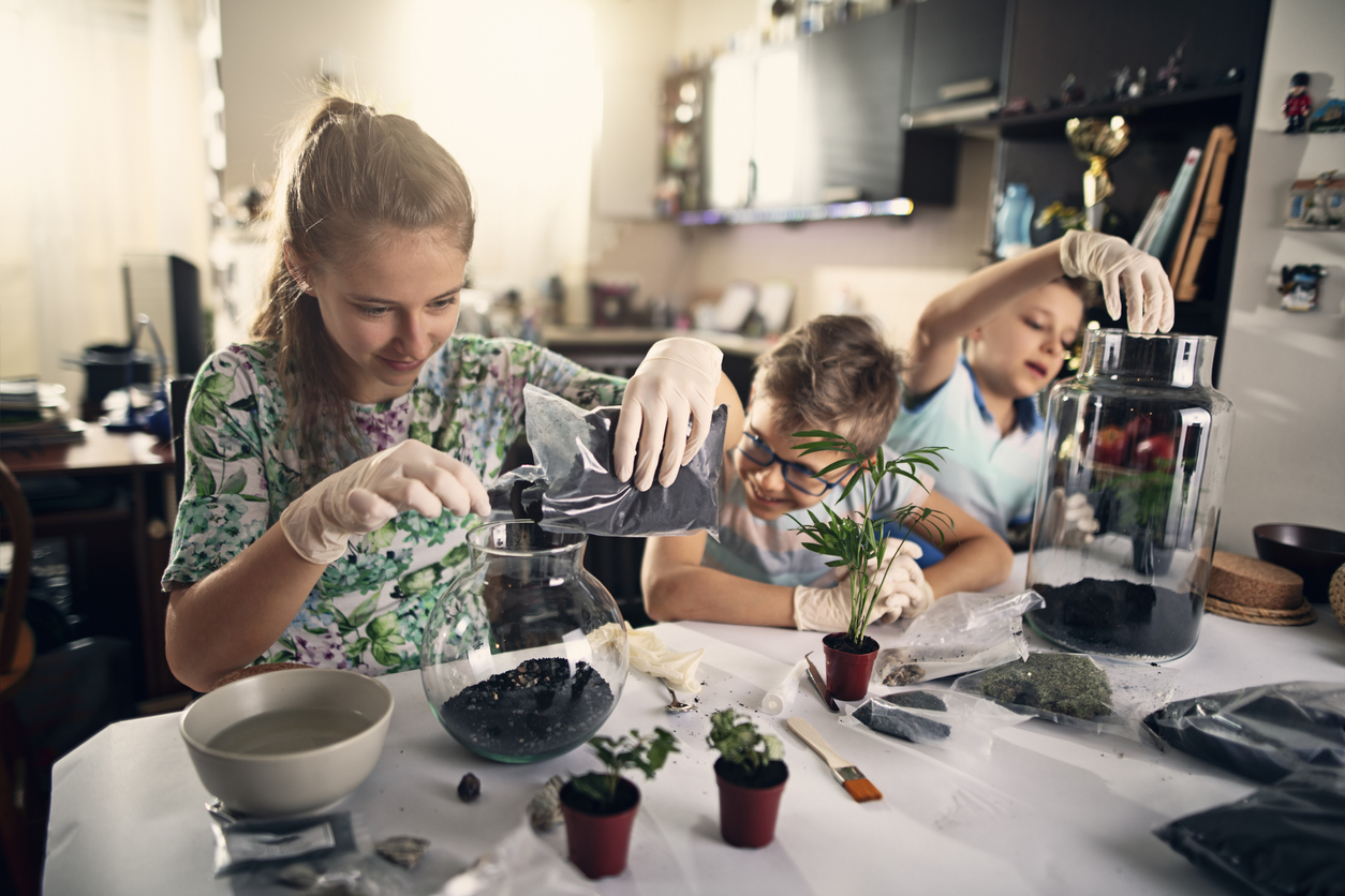 three children creating terrariums with a variety of plants