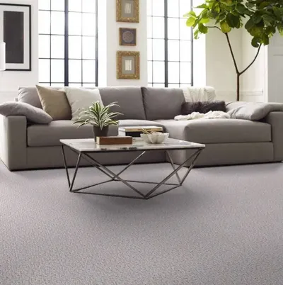 The Shaw Floors Carlton 12 collection carpeting in a living room 