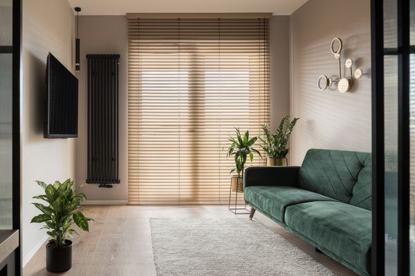 A small living room with a TV, green sofa, white rug, and décor 
