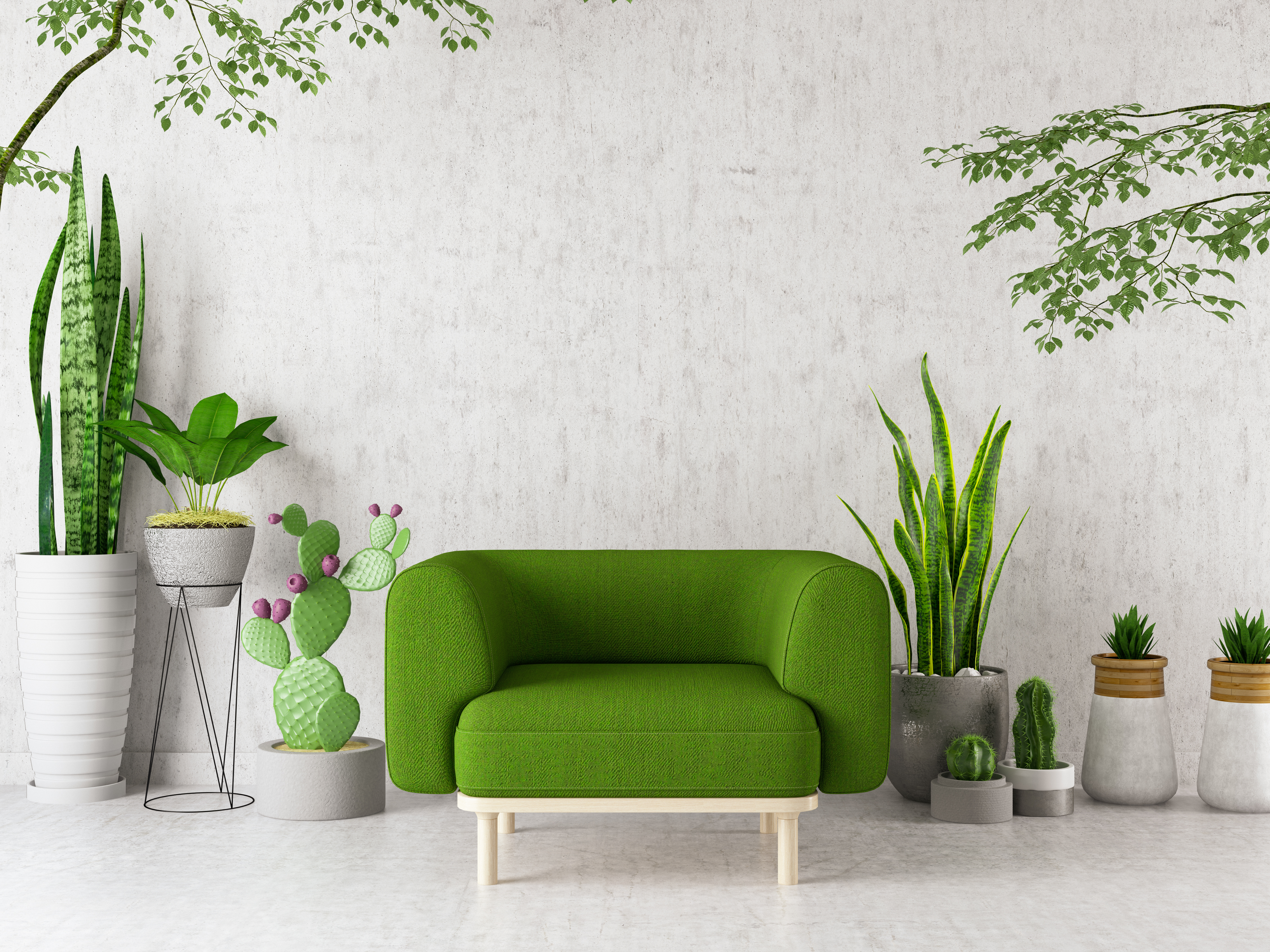 green chair surrounded by a variety of plants in white and clay pots