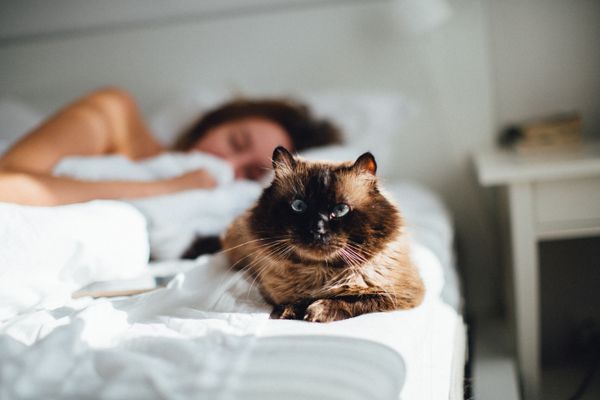 Lady Sleeping in Bed