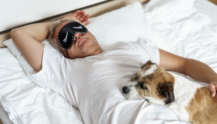 A mature man sleeps in a white bed with a brown and white dog.