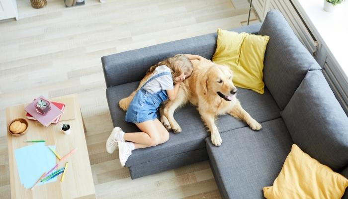 Little girl sleeping on top of Golden Retriever