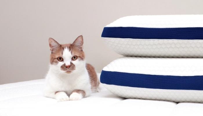 Ginger cat sleeping on top of mattress next to two stacked pillows