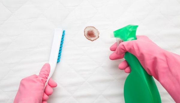 Gloved hands holding a brush and spray bottle work to remove a blood stain from a mattress