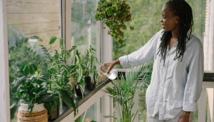 Woman watering indoor plants