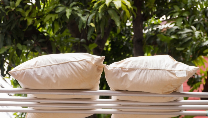 Wool pillows air drying out in the sun