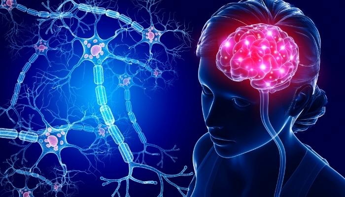 Depiction of nervous system