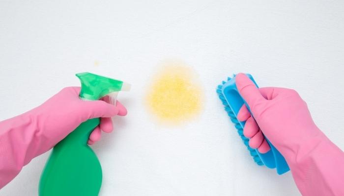 gloved hands cleaning stain on mattress
