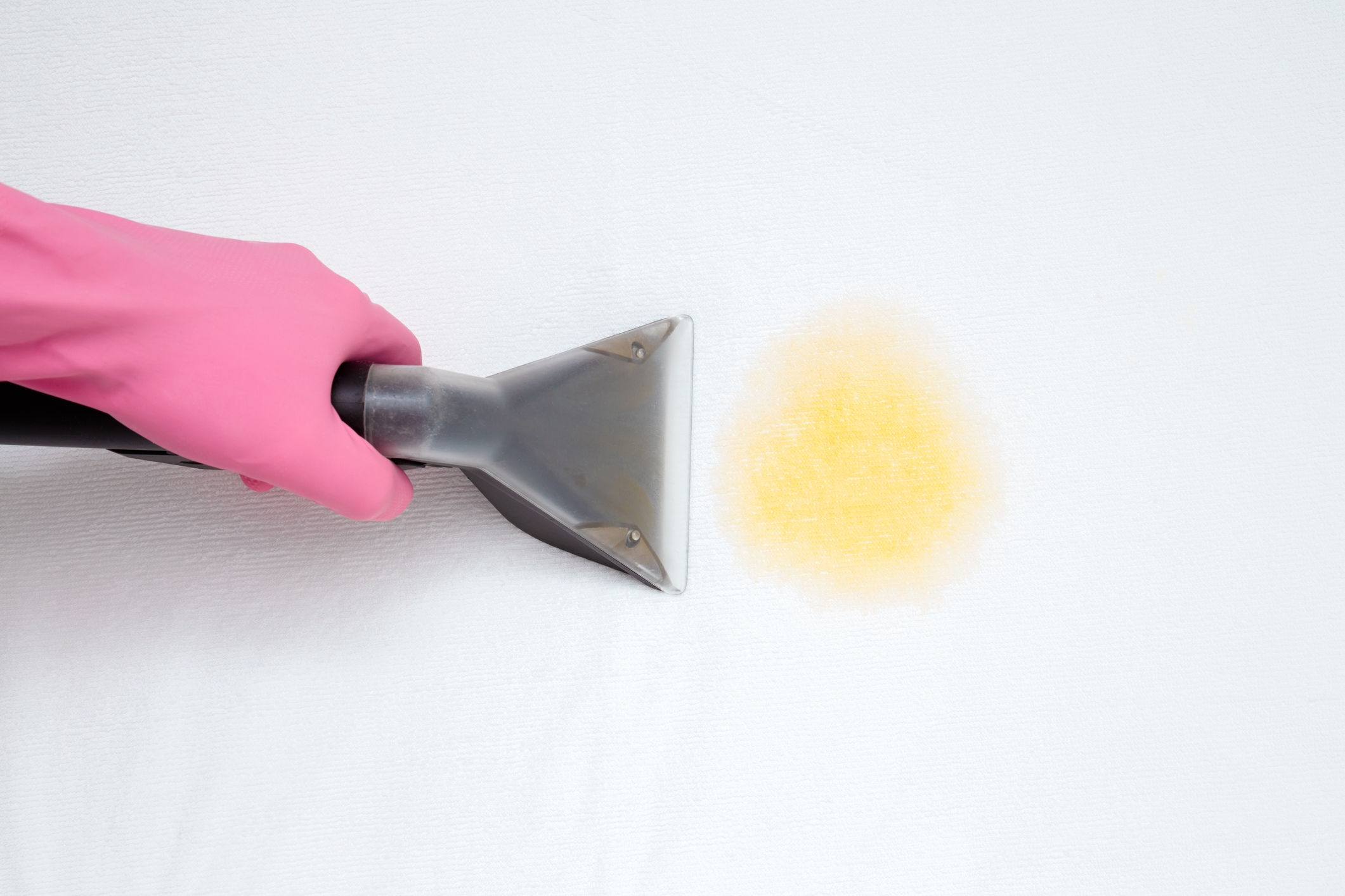pinked gloved hand deep cleaning yellow stain with vacuum