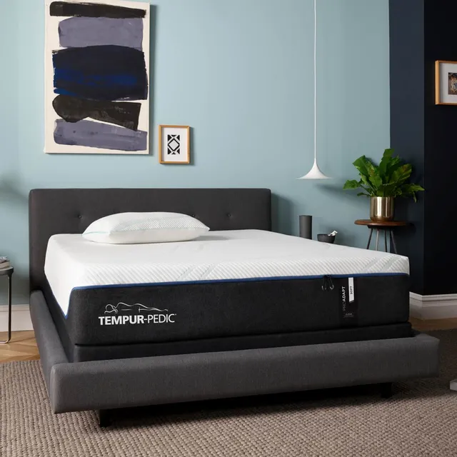 Tempur Pedic Soft Queen Mattress