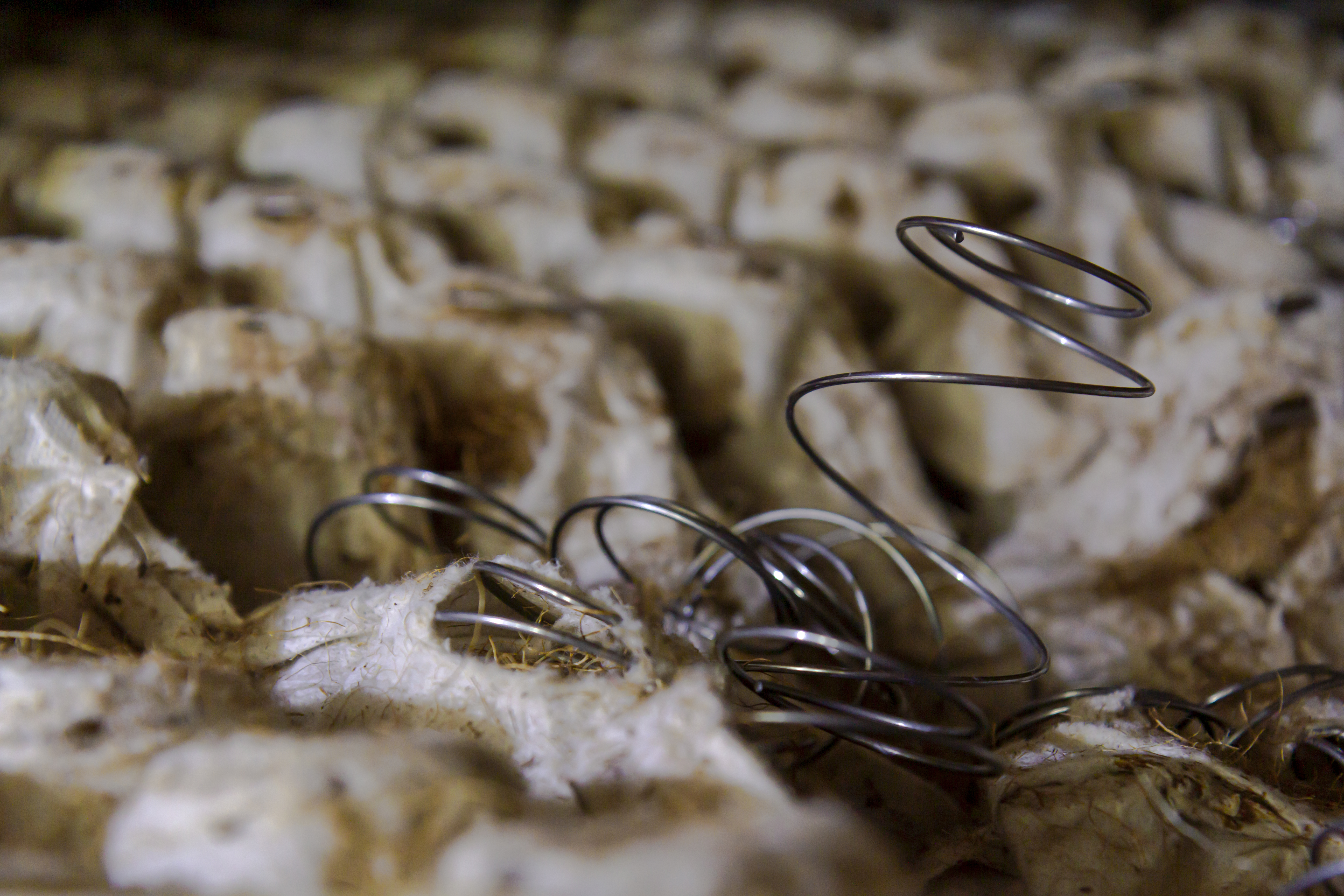 A tangled mattress coil popping out of its foundation 