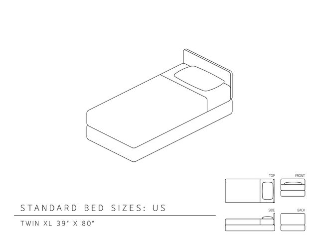 standard infographic showing twin xl bed dimensions