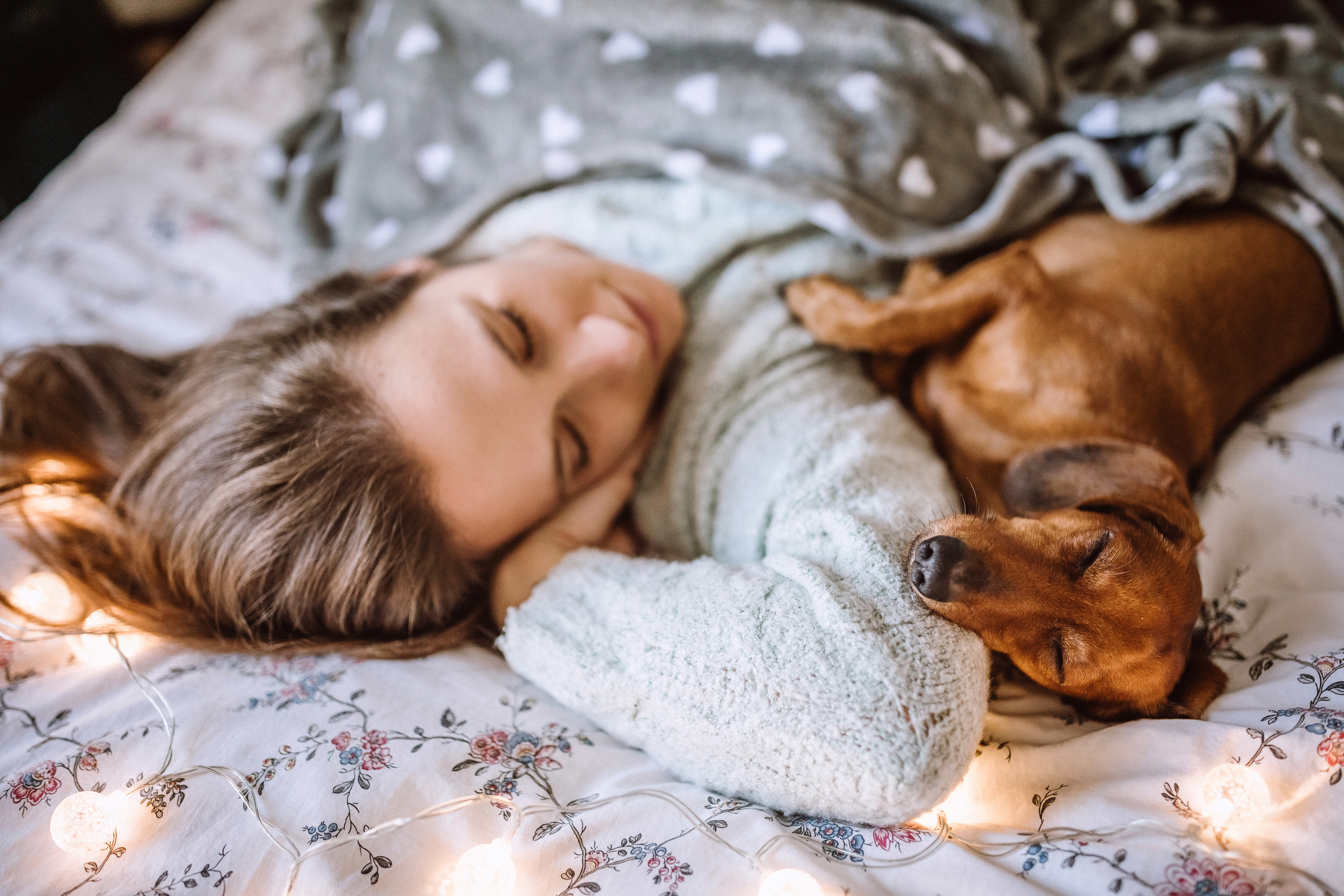 woman taking a nap in bed with her dog