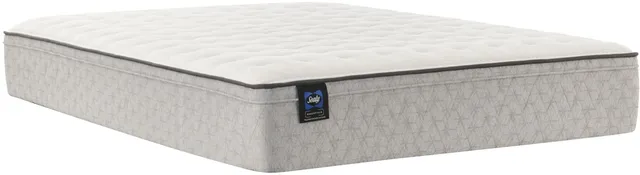 The Sealy Essentials collection queen-size Euro top innerspring mattress 