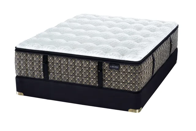 The Aireloom Luxetop M2 collection plush queen-size mattress 