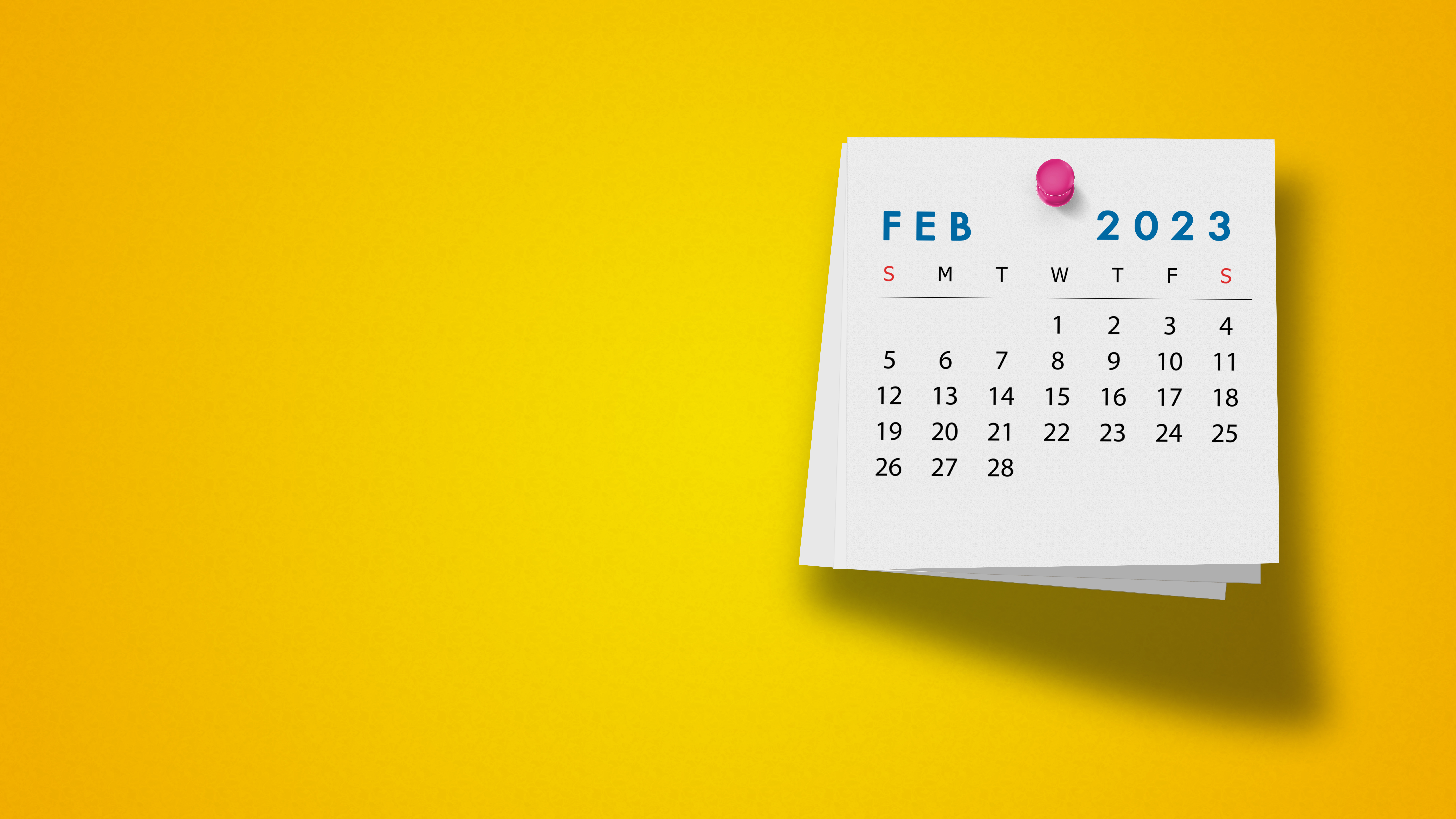 A 2023 calendar on the month of February on a yellow background 