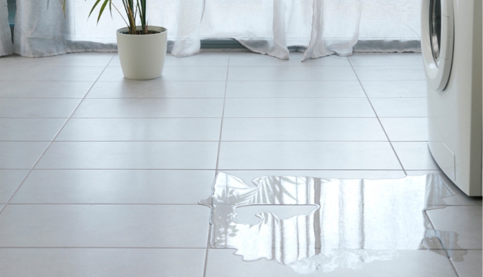 A washing machine leaking water from worn out bearings