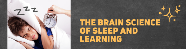 the brain science of sleep and learning
