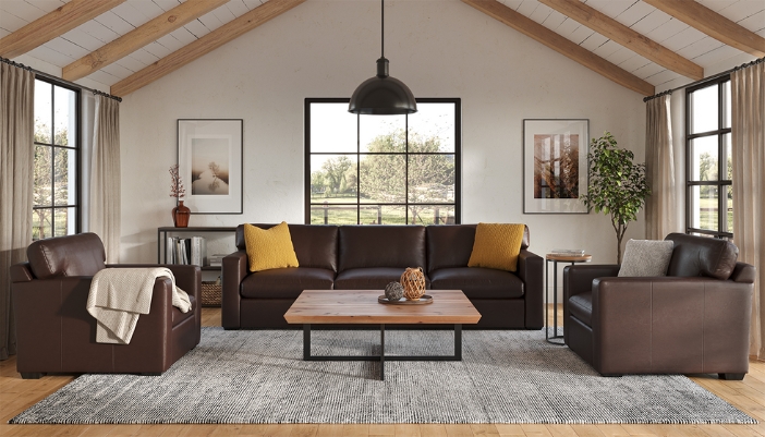 living room furniture in bright living room