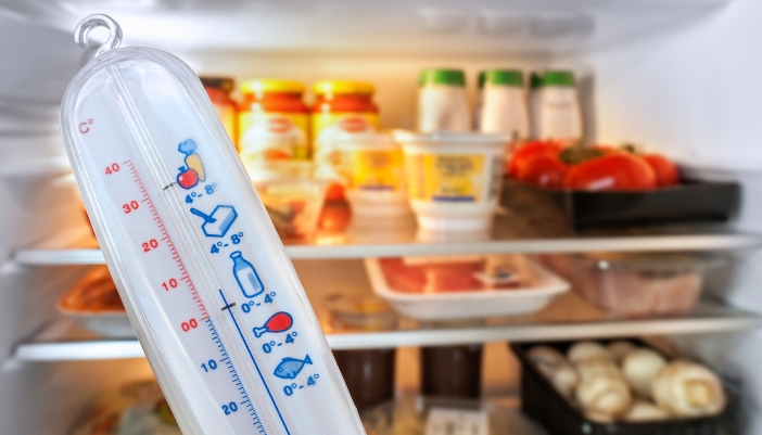 Thermometer with food ratings held in front of a refrigerator