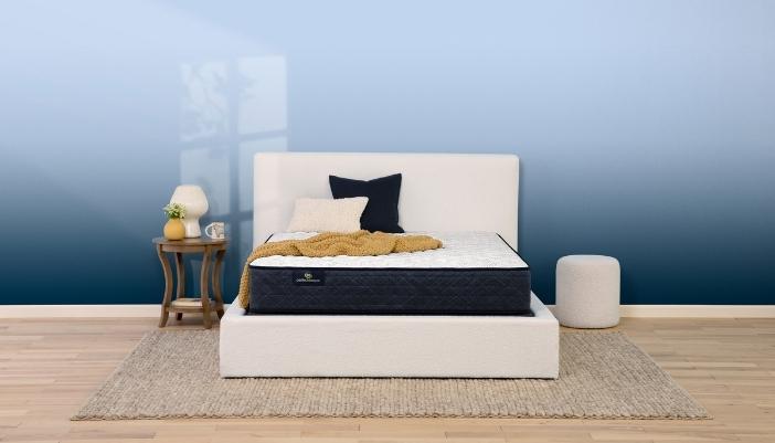 Serta Perfect Sleep mattress