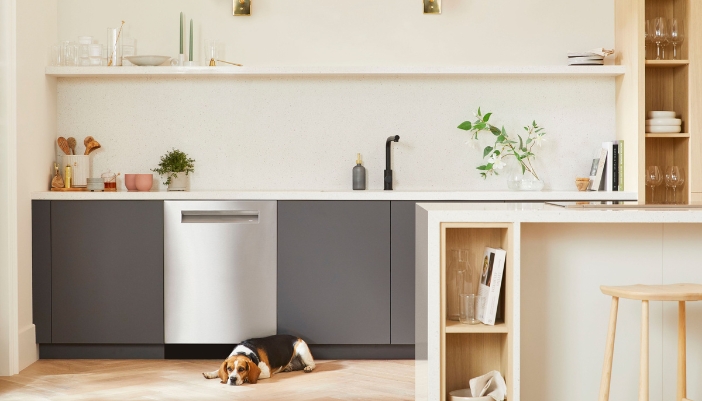 A dog rests in front of a stainless steel dishwasher in a bright kitchen. 