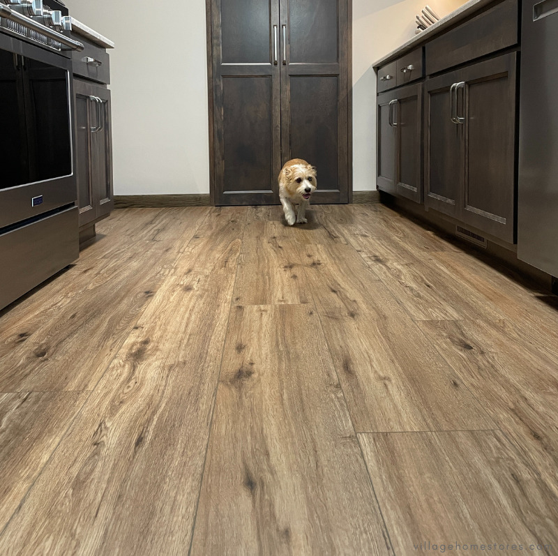image of small tan dog walking on new luxury vinyl plank flooring in kitchen