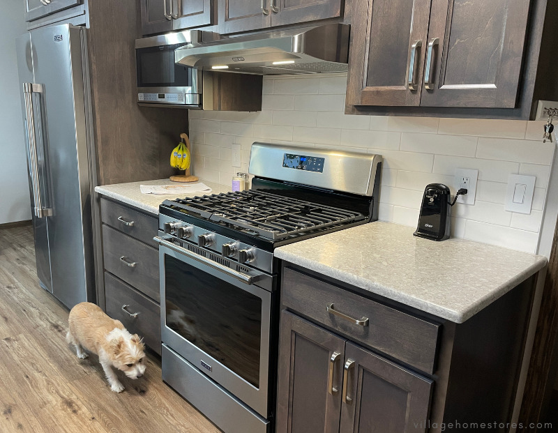 new maytag appliances and range in viola Illinois kitchen with dog in front of stove door