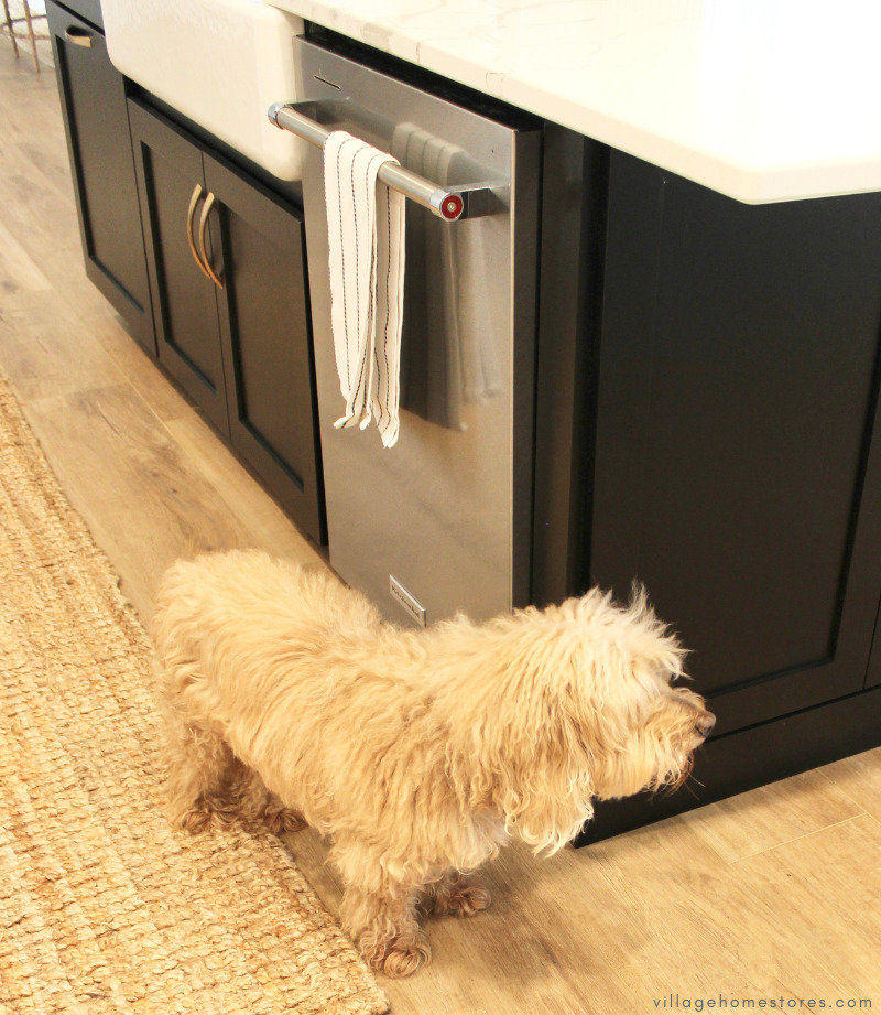 kitchenaid dishwasher in stainless steel with a kitchen towel on the handle and medium sized dog in foreground 