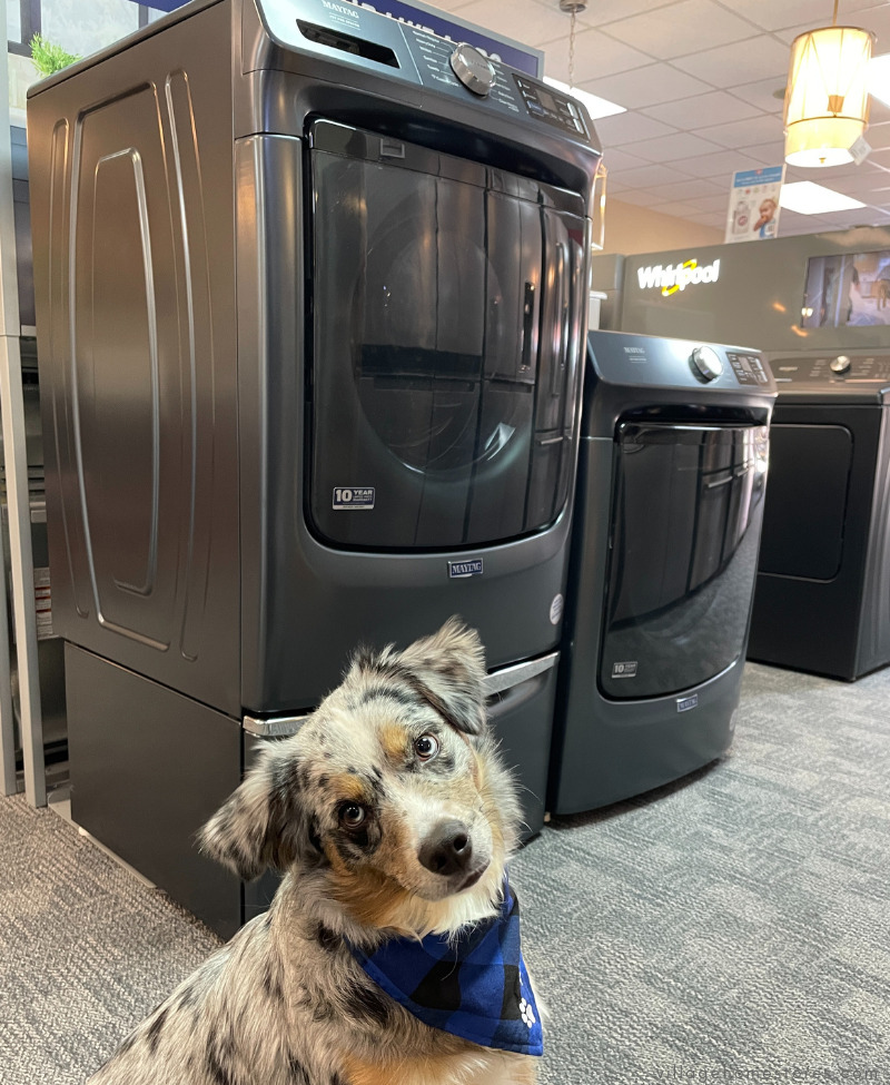 maytag mfw7020 pet pro laundry in dark blue finish with dog in front