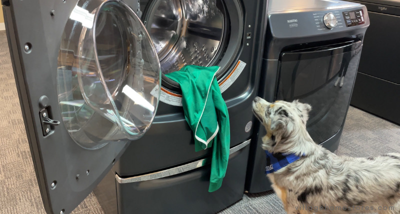 dog looking at green jersey loaded in maytag washer for quick wash cycle