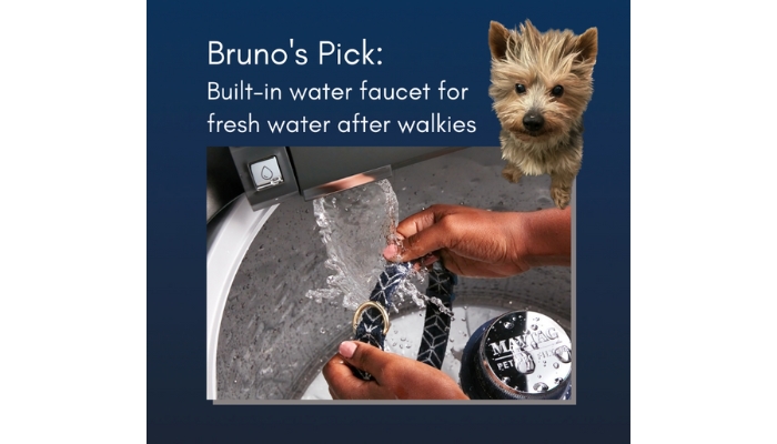 small dog and image of built in water faucet feature on a Maytag washer