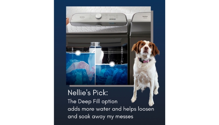 dog next to graphic that shows deep fill in maytag washer tubs