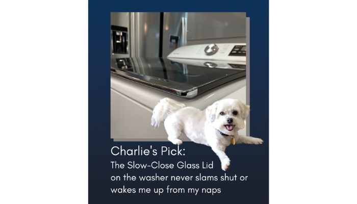 small white dog and image of slow close laundry lid