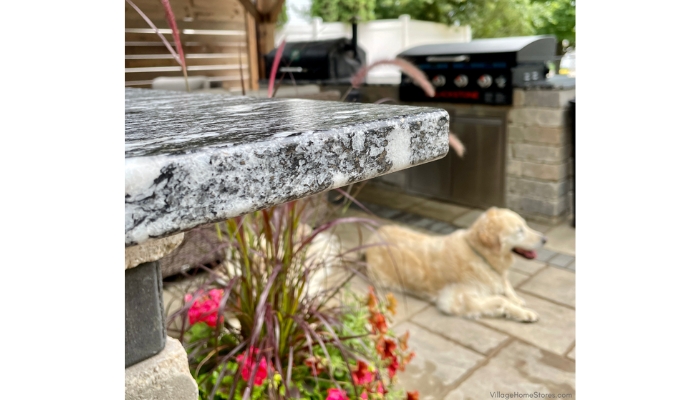 detail image of granite countertop edge corner with dog out of focus in background