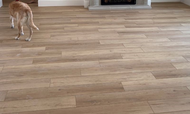 Coretec vinyl wood look plank flooring installed in a Moline home by Hazelwood Homes.