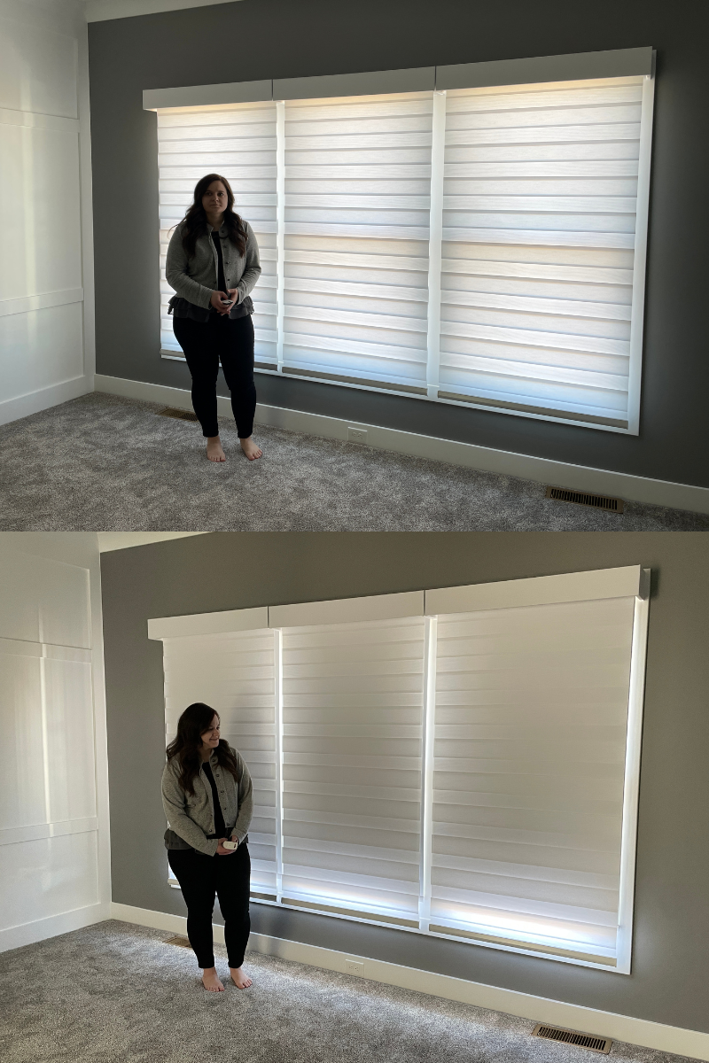 dual window shades showing transitions shades and blackout roller shades layer
