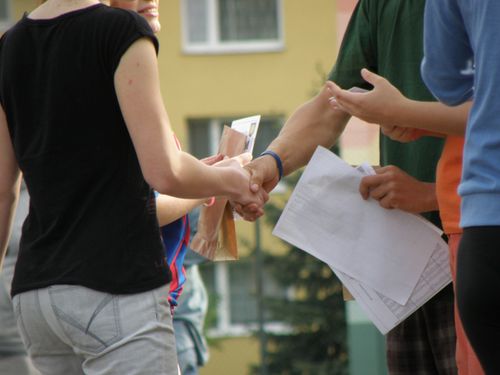 Professional Handshake
