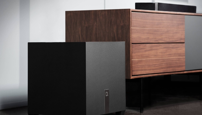 Definitive Technology subwoofer