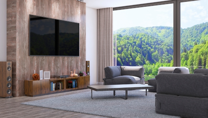TV in a large room