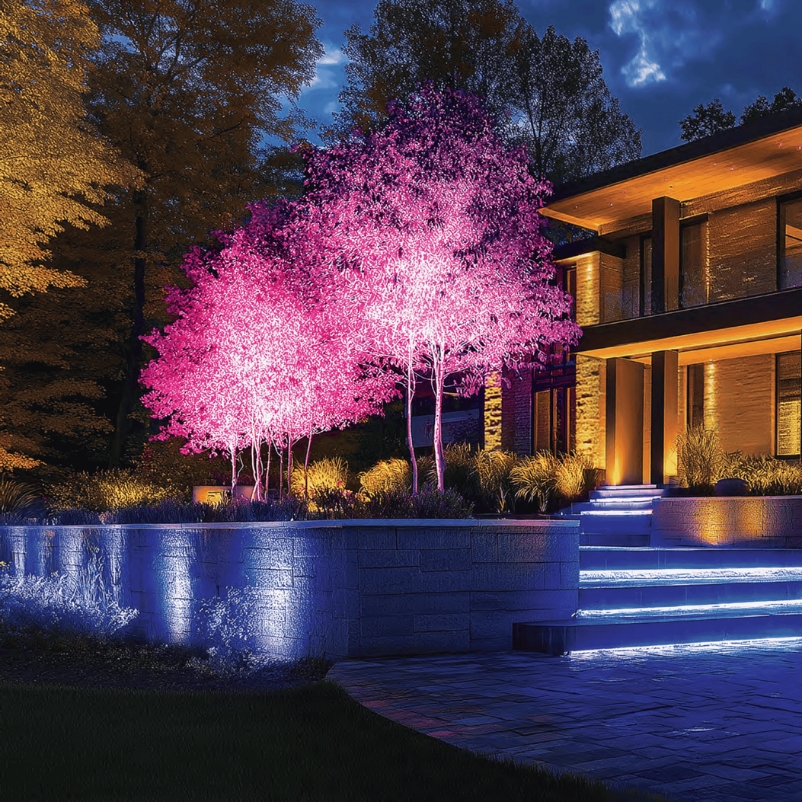 A pair of trees outdoors light up with bright purple lights.