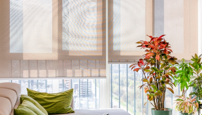 A brightly lit room with motorized shades and plants featured.