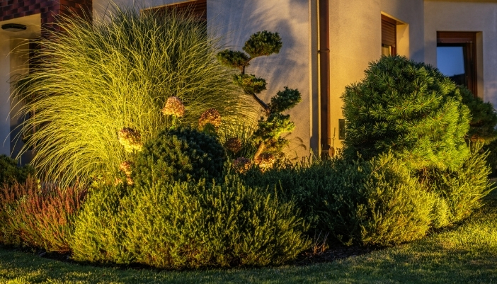 backyard uplighting