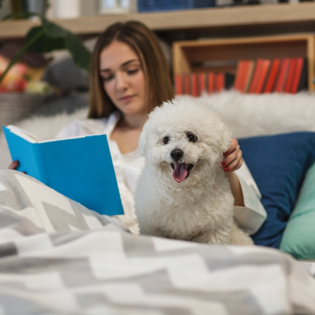 A dog and a girl on a bed