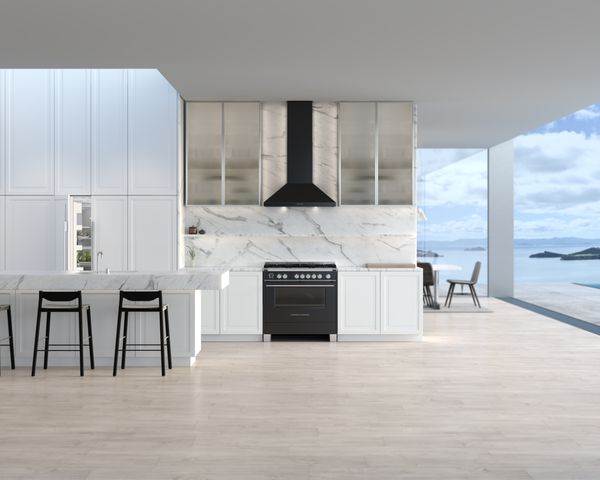 Fisher & Paykel 36" Stainless Steel Pro Style Gas Range