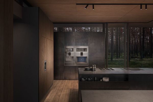 Gaggenau 200 Series 24" Metallic Single Electric Wall Oven