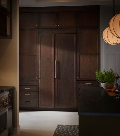 Custom Panel Built in Refrigerator