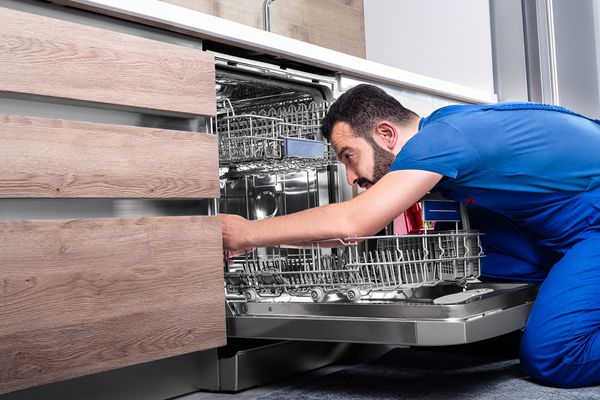 Dishwasher repair