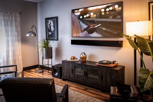 TV and Speaker Setup